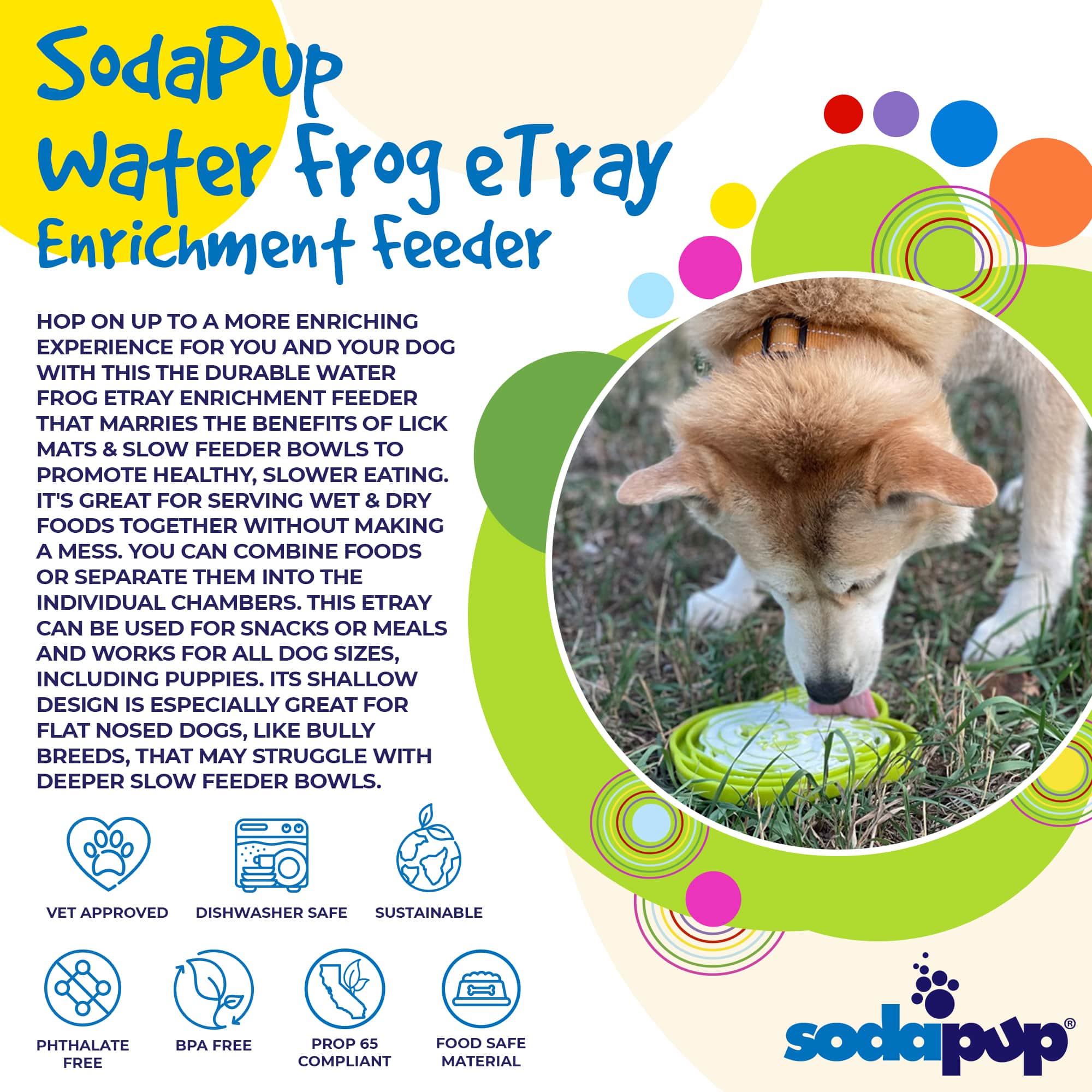 Frog Shallow Slow Feeder Dog Bowl | USA Made