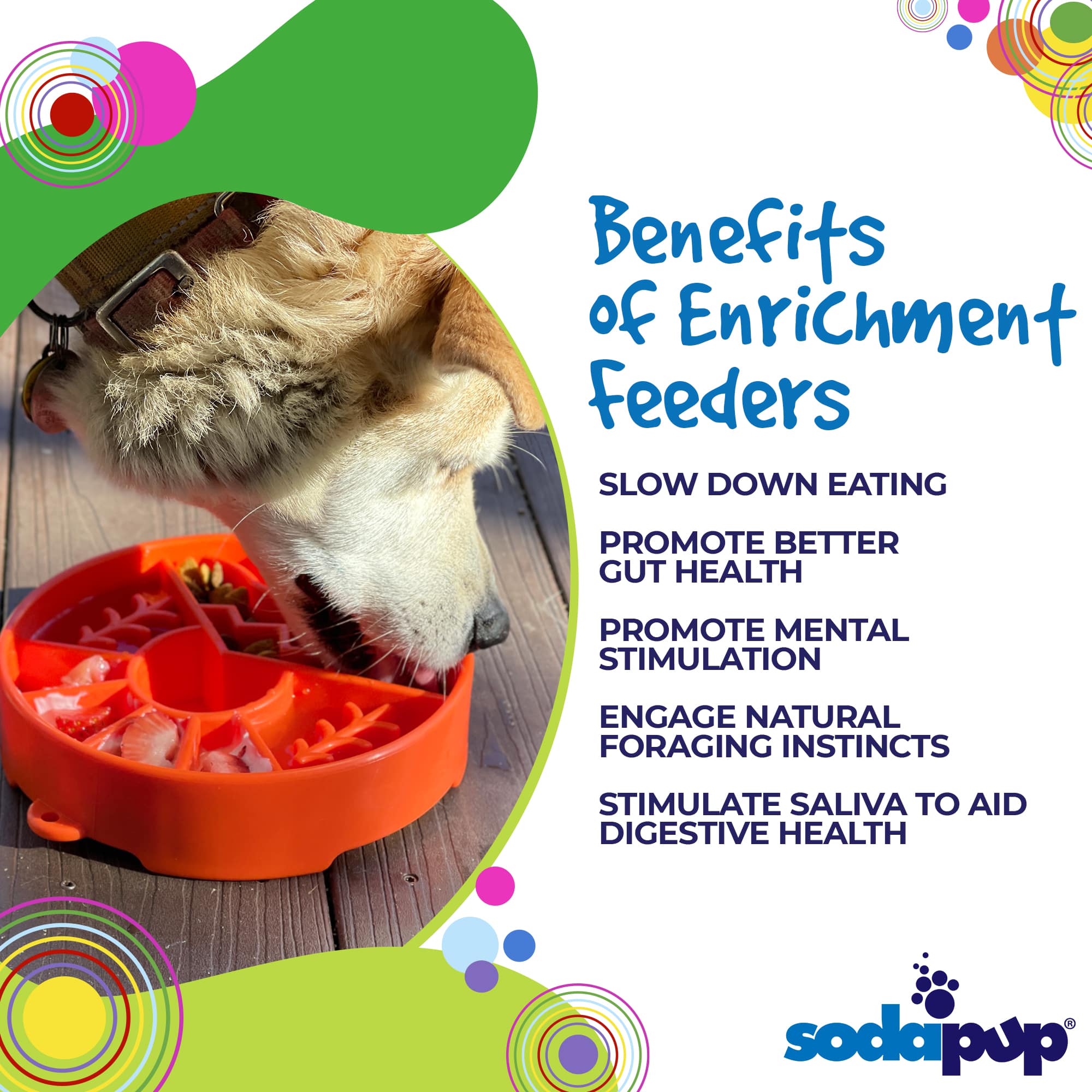 Great Outdoors Slow Feeder Dog Bowl