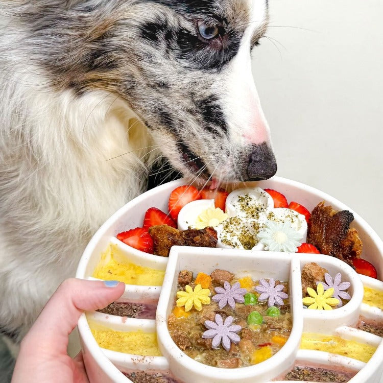 Java Deep Slow Feeder Dog Bowl for Enrichment
