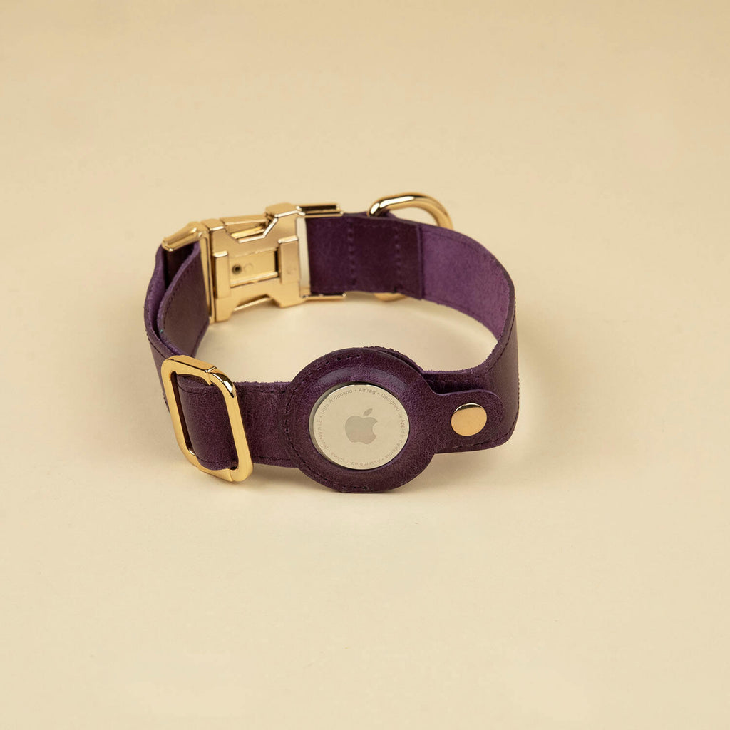 Leather AirTag Dog Collar — Purple