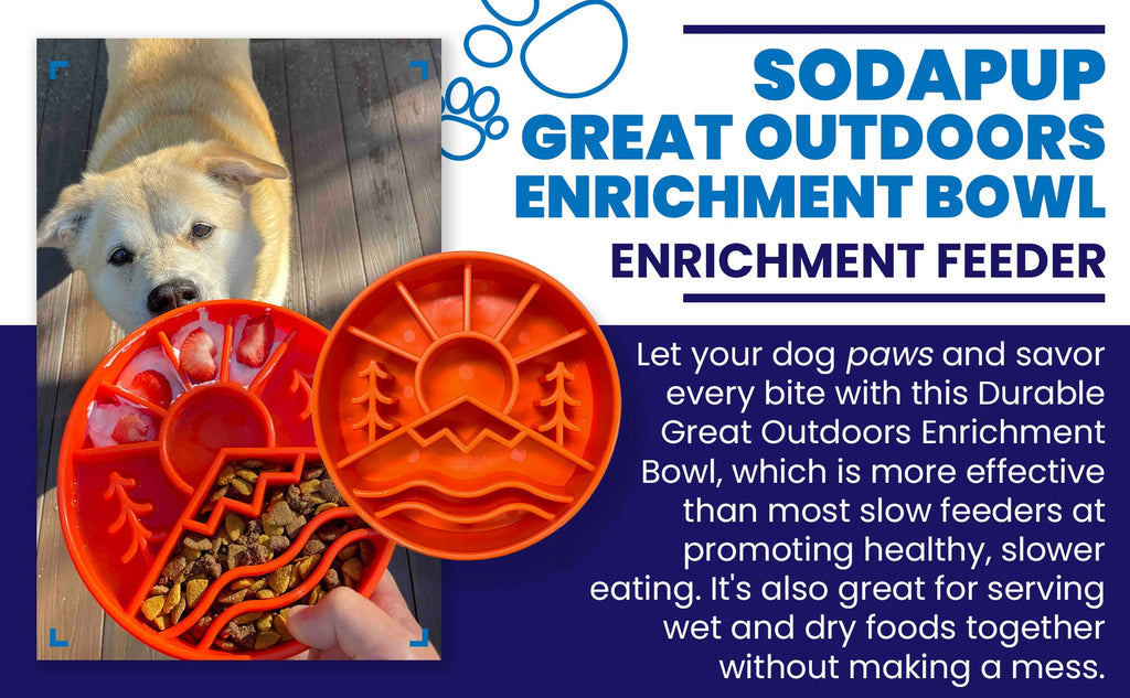 Great Outdoors Slow Feeder Dog Bowl