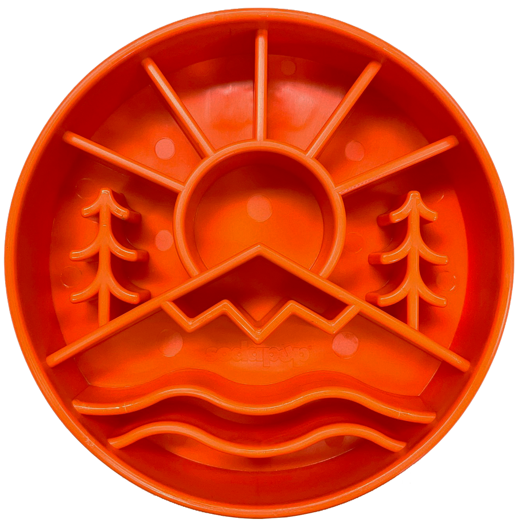 Great Outdoors Slow Feeder Dog Bowl