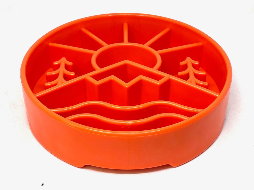 Great Outdoors Slow Feeder Dog Bowl