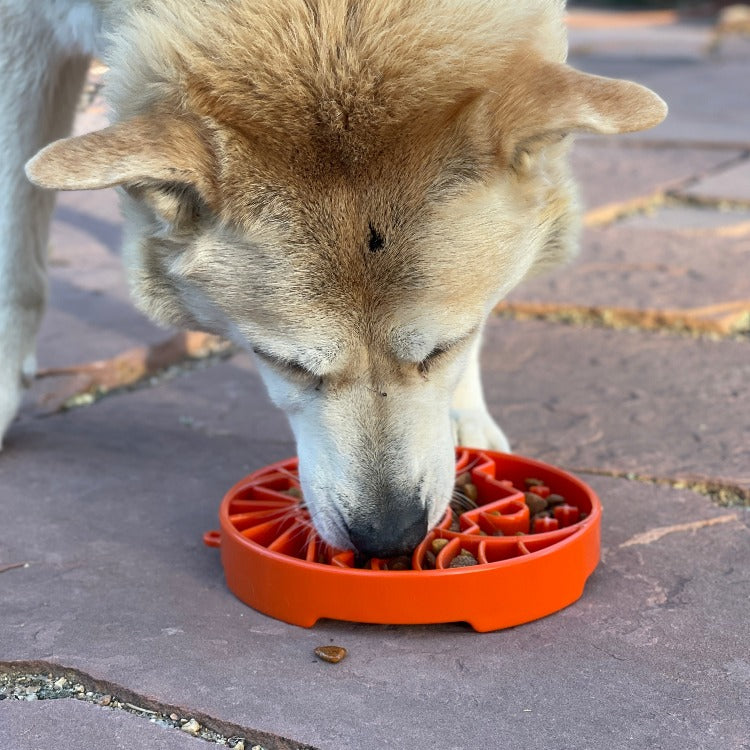 Sun & Moon Shallow Slow Feeder Dog Tray