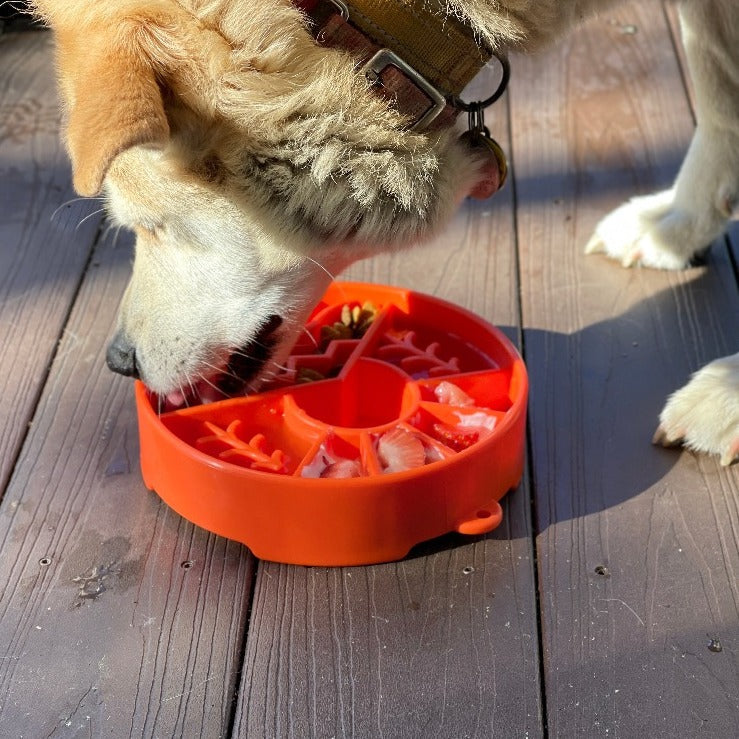 Great Outdoors Slow Feeder Dog Bowl