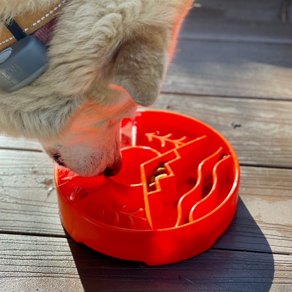 Great Outdoors Slow Feeder Dog Bowl