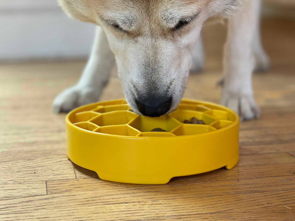 Honeycomb Slow Feeder Dog Bowl