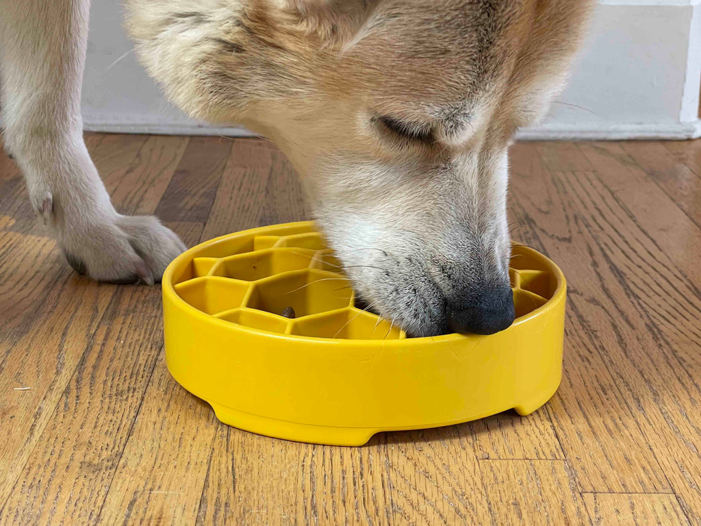 Honeycomb Slow Feeder Dog Bowl