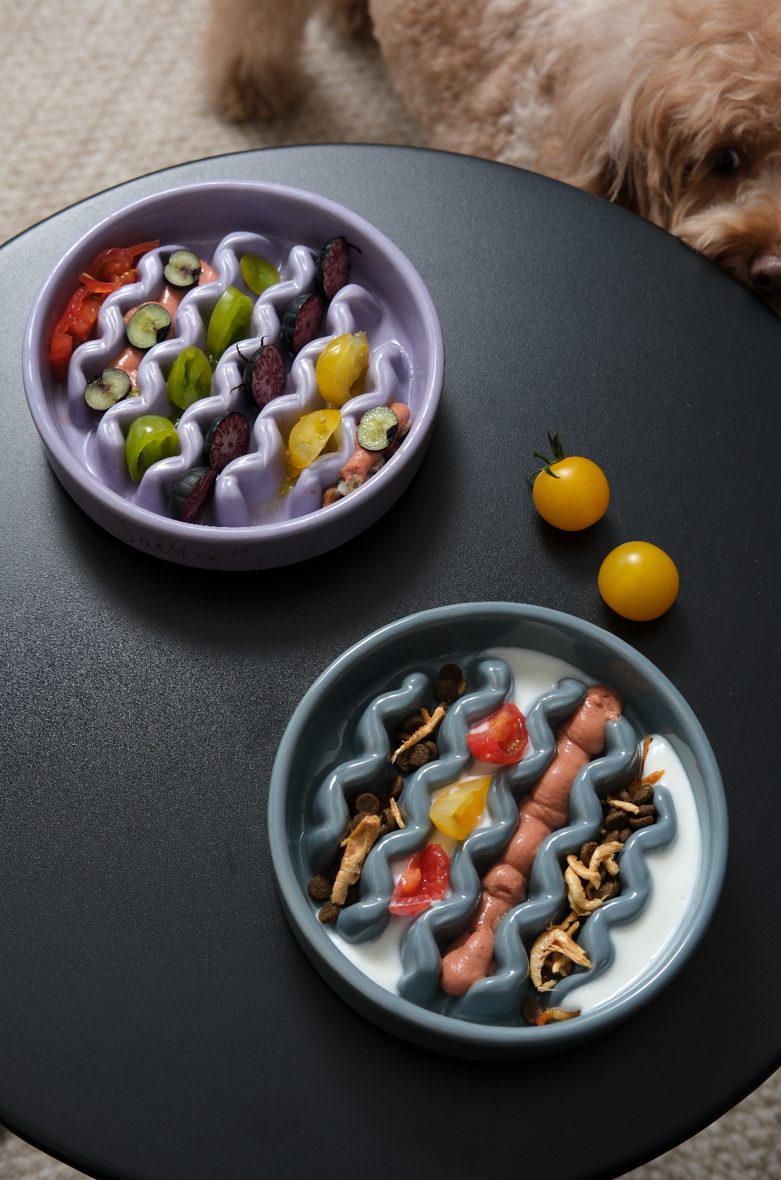 Macaroni Slow Feeder Dog Bowl