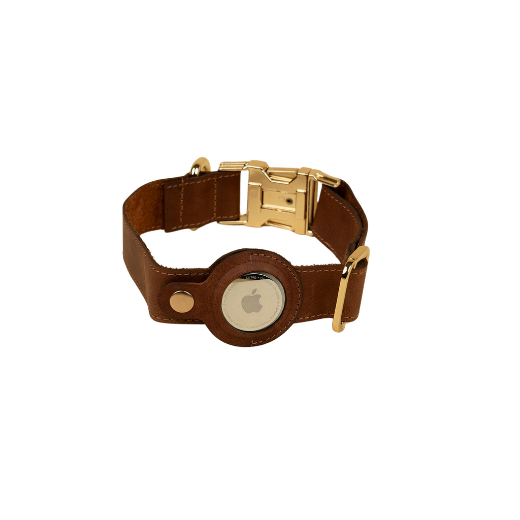 Leather AirTag Dog Collar — Dark Brown