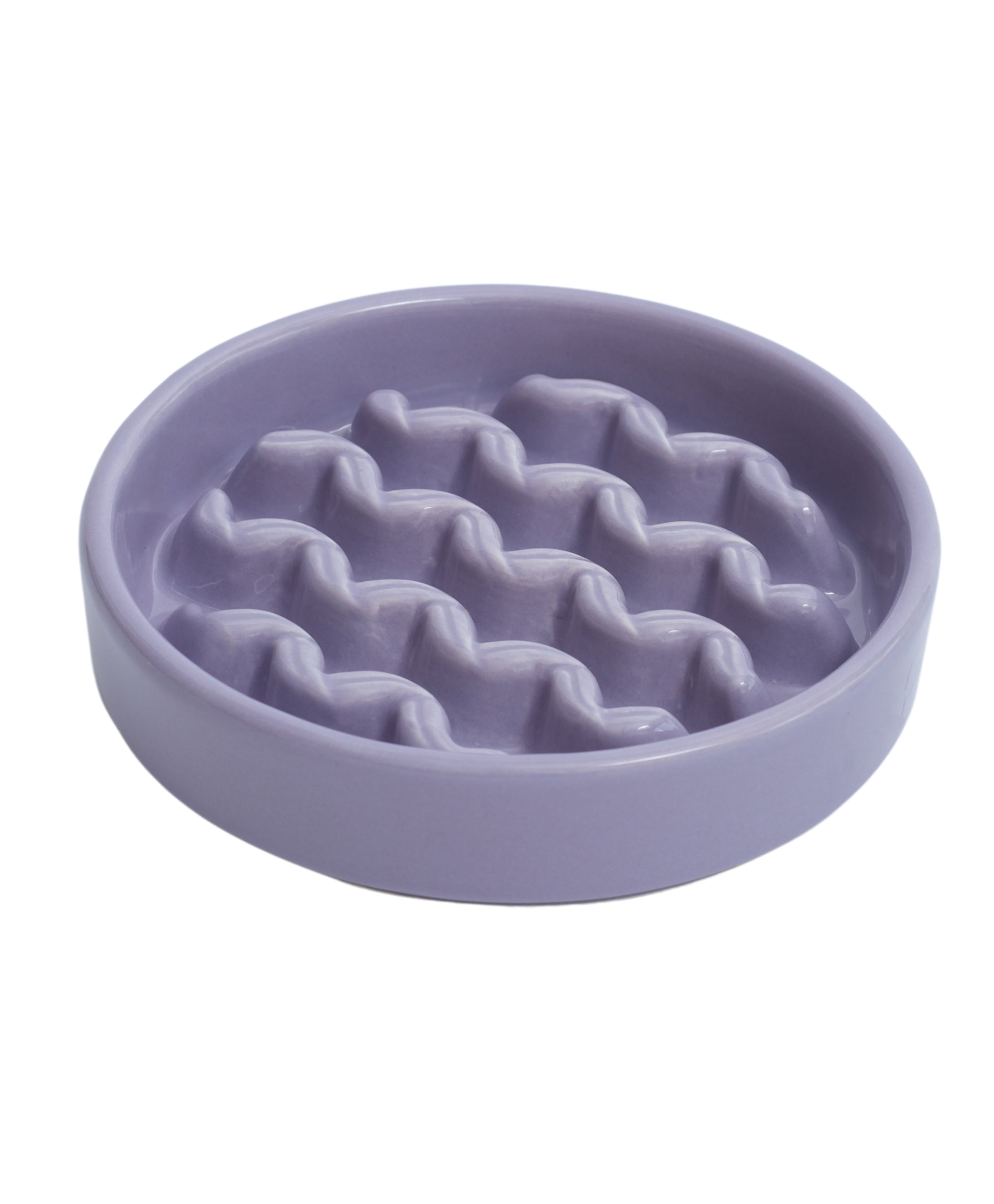 Macaroni Slow Feeder Dog Bowl