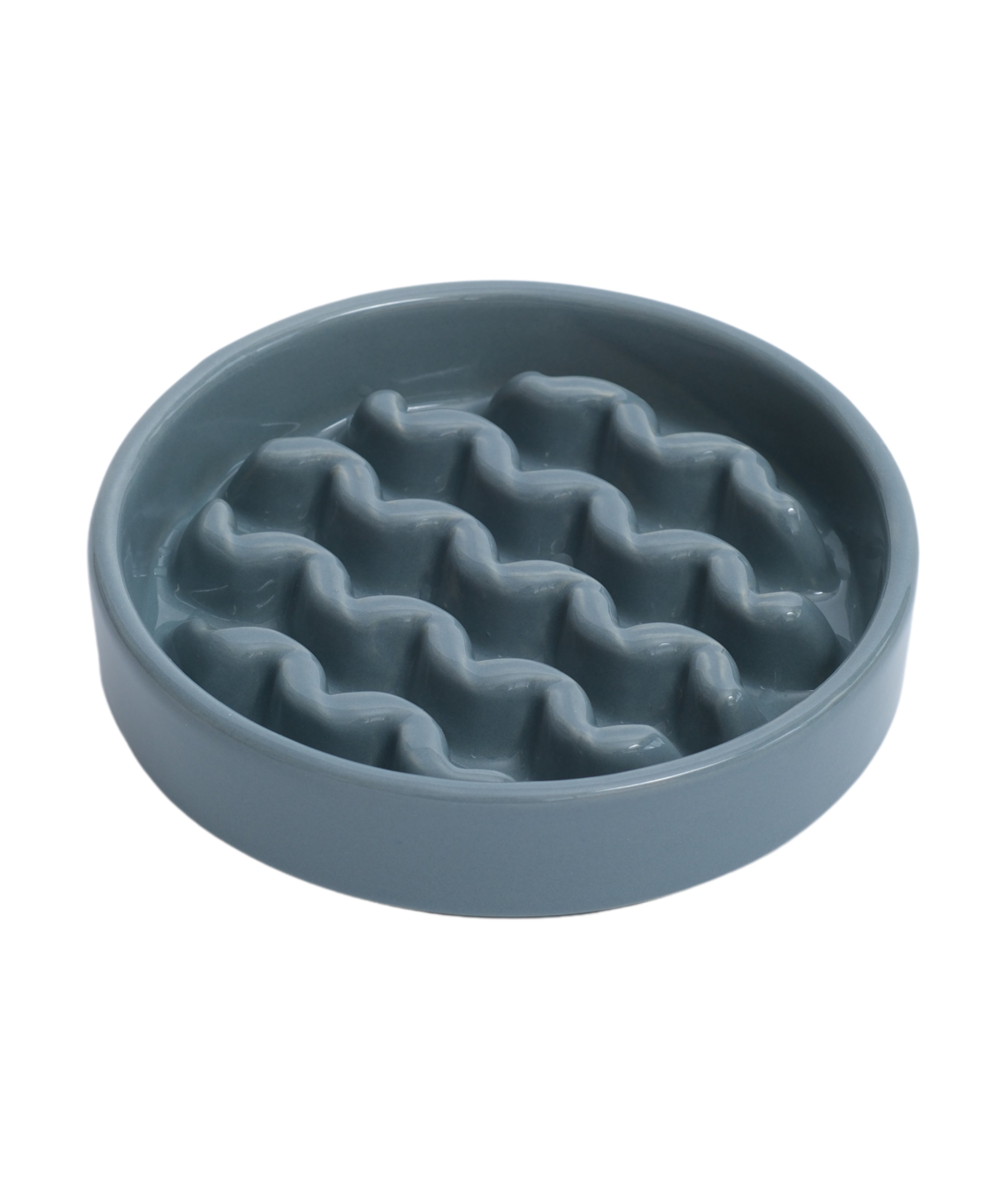 Macaroni Slow Feeder Dog Bowl